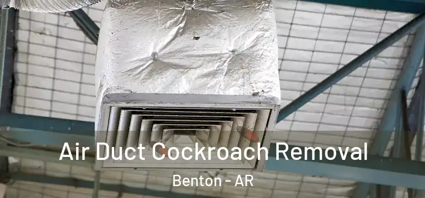  Air Duct Cockroach Removal Benton - AR