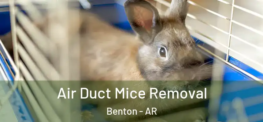 Air Duct Mice Removal Benton - AR