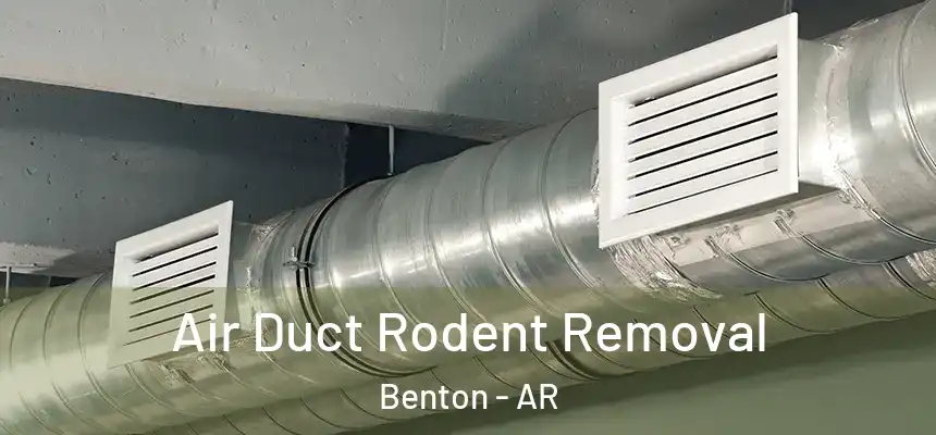Air Duct Rodent Removal Benton - AR