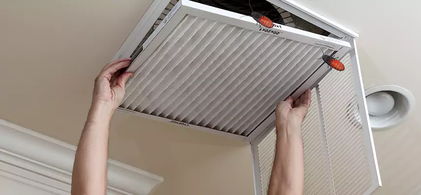 Our Insect Removal from Air Ducts Services in Benton, AR