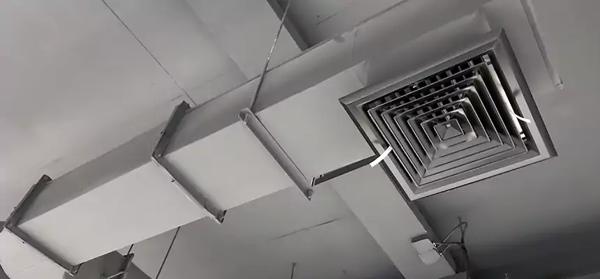 Our Pest Removal From Ducts Services in Benton, AR