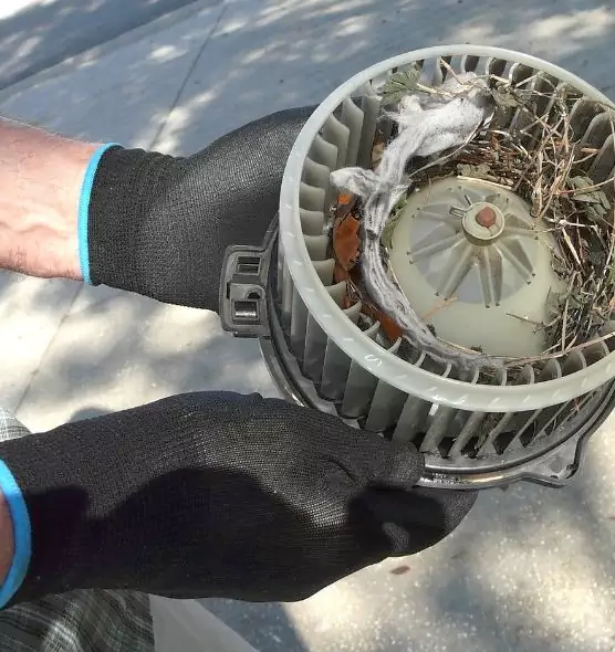 About Air Duct Mice Removal in Benton, AR