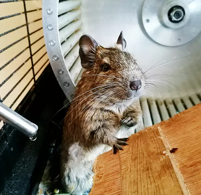 Why Homeowners & Businesses Trust Us Benton, AR